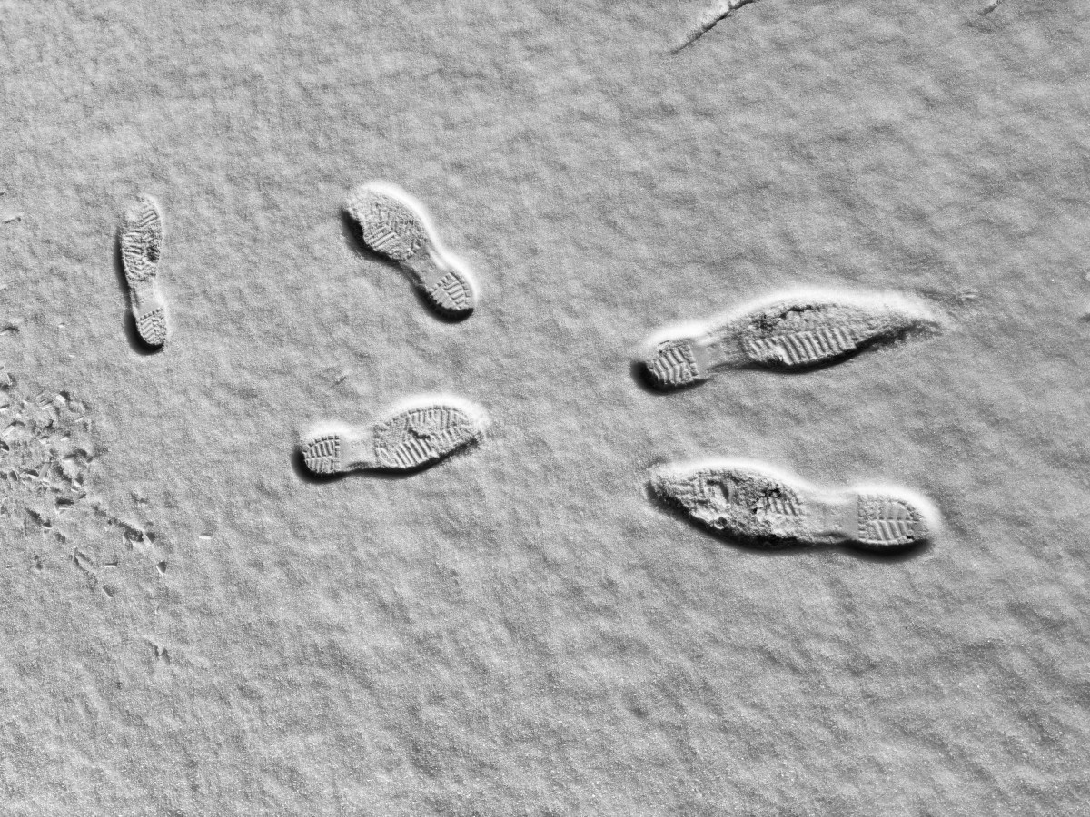 Winter ’26 Photo Essay: JHS photographers capture Southern Indiana winter&nbsp;weather